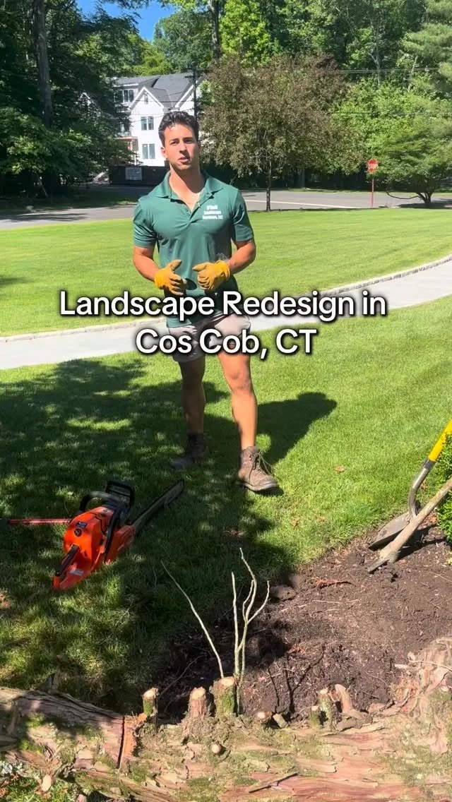 What landscape design actually involves
