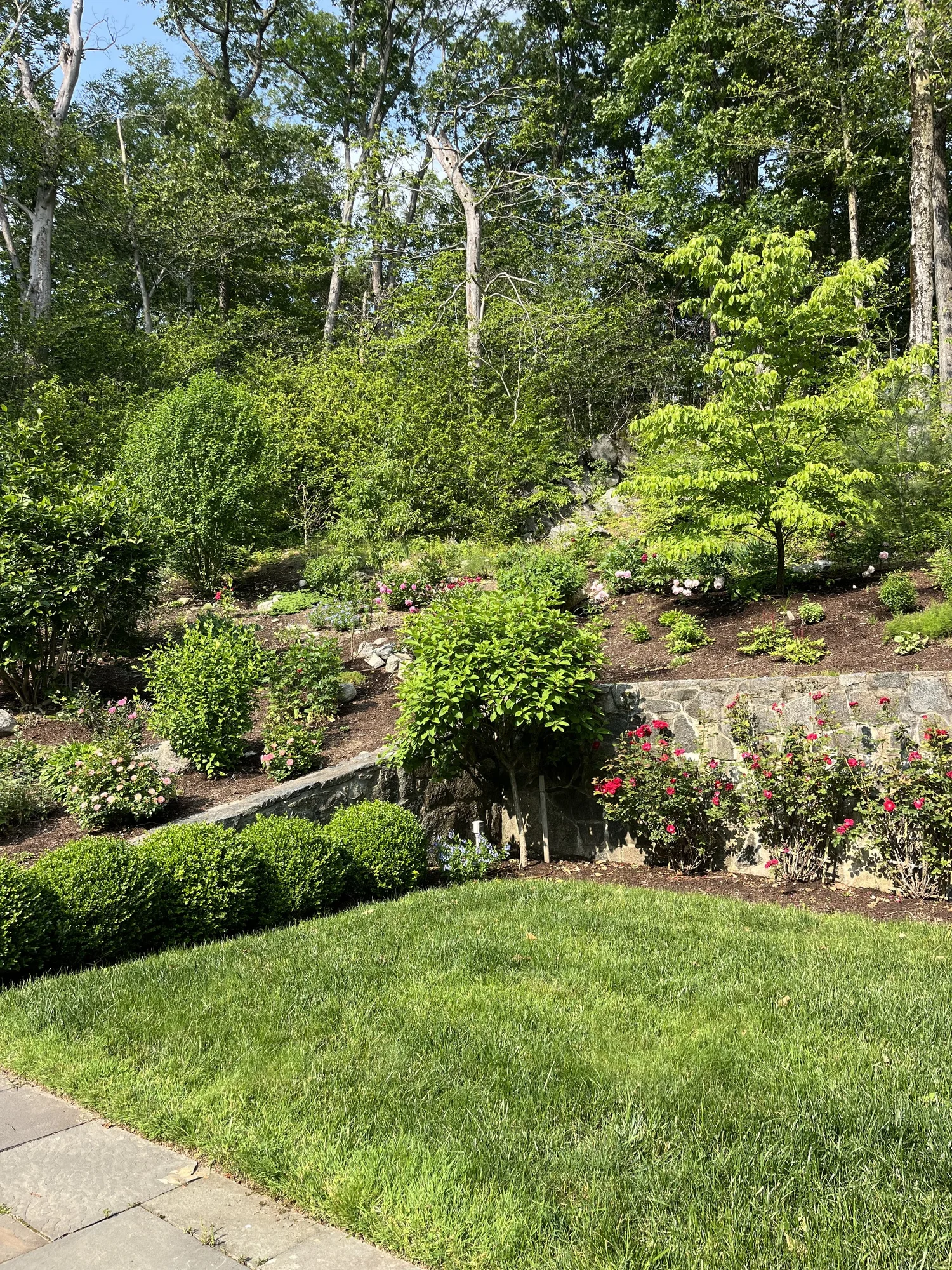 Trimmed hedges and shrubs framing a Connecticut home