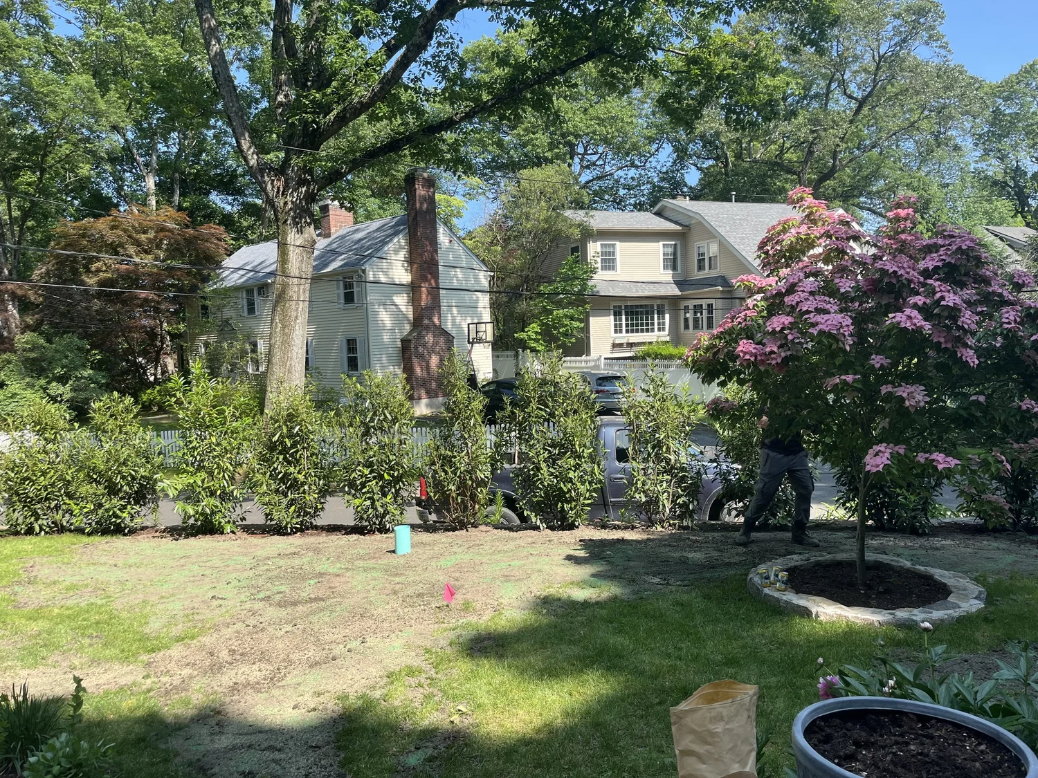 Fresh mulch installed around foundation plantings