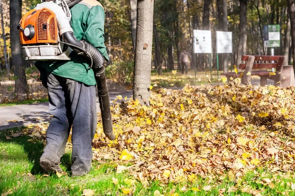 Fall Leaf Removal