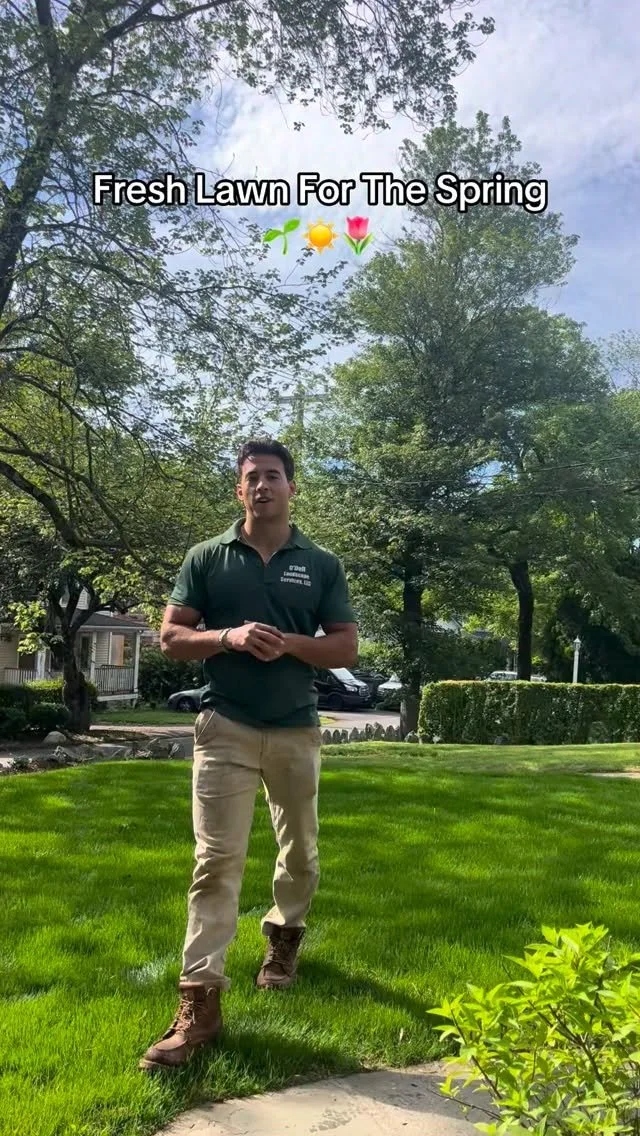 Spring is the ideal time to establish a new lawn