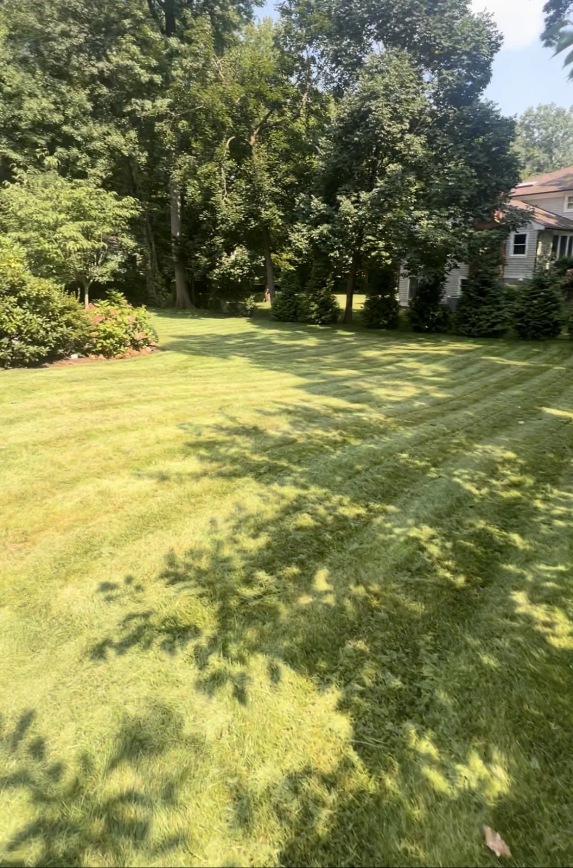Lawn Care