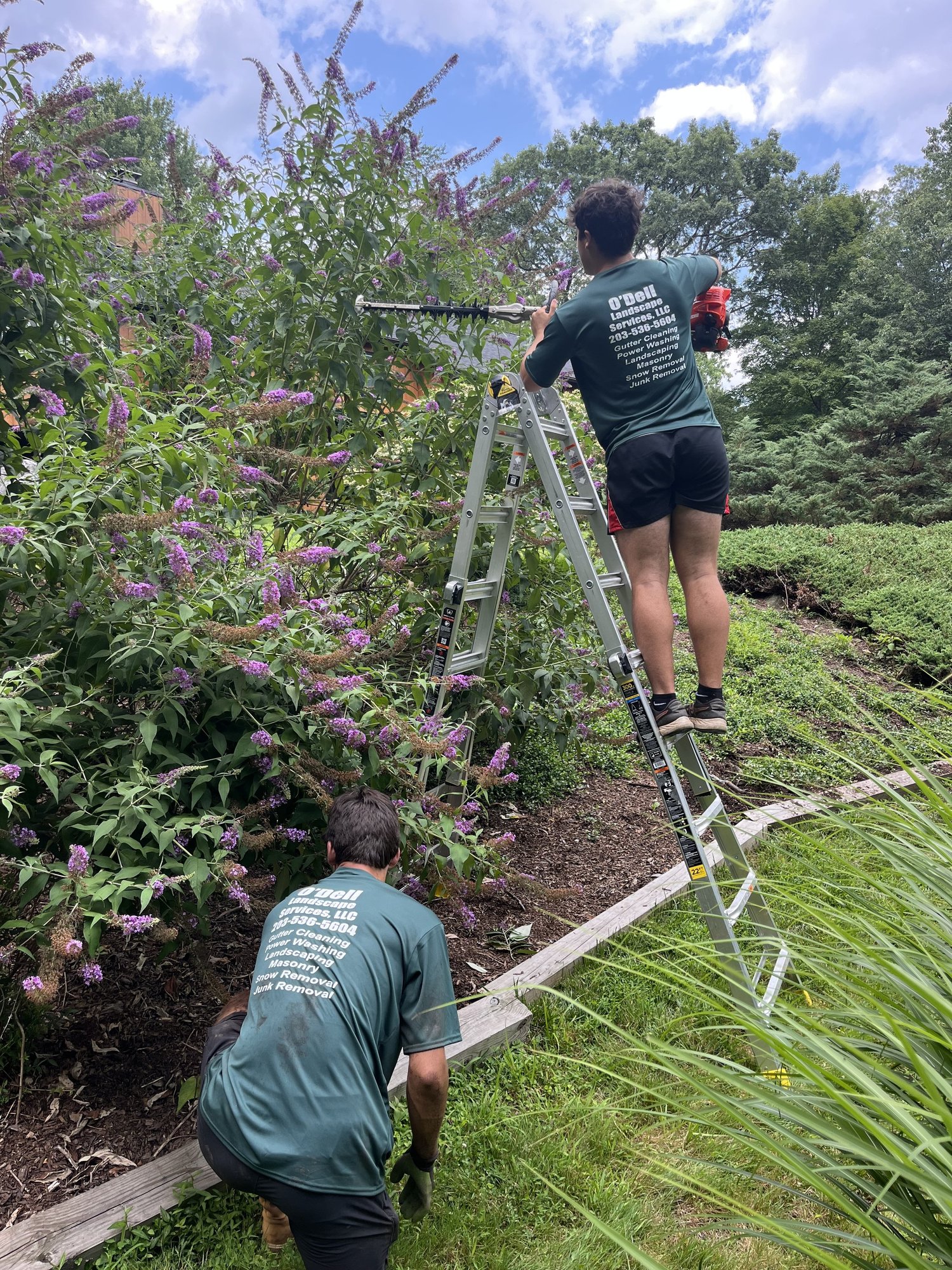 O'Dell Landscape Services project detail